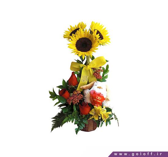 تزیین سبد گل برای تولد نوزاد - سبد گل زایمان نارینه - Narine | گل آف